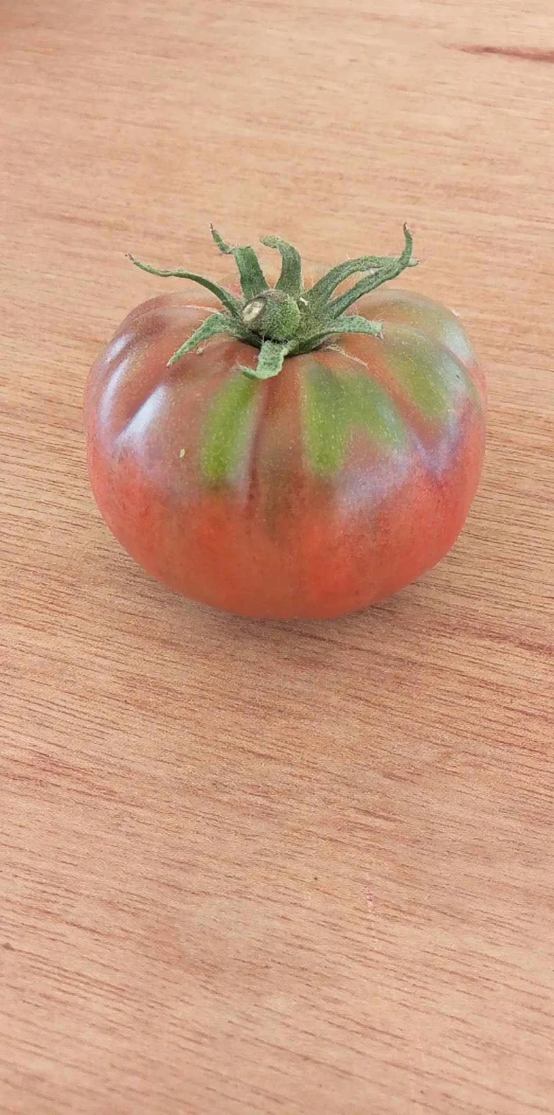 Tomate Carbon