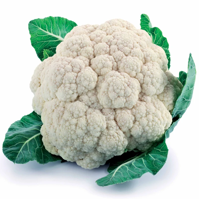 Chou-fleur Plana F1