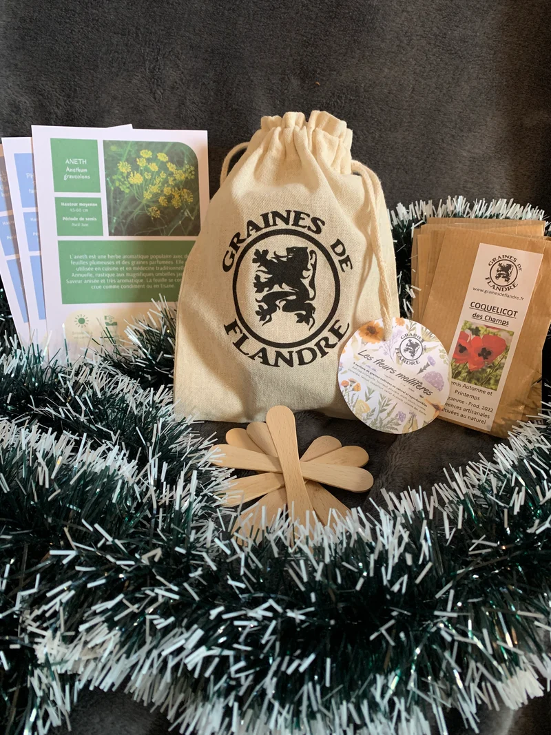 Coffret Cadeau Graines Les fleurs mellifères