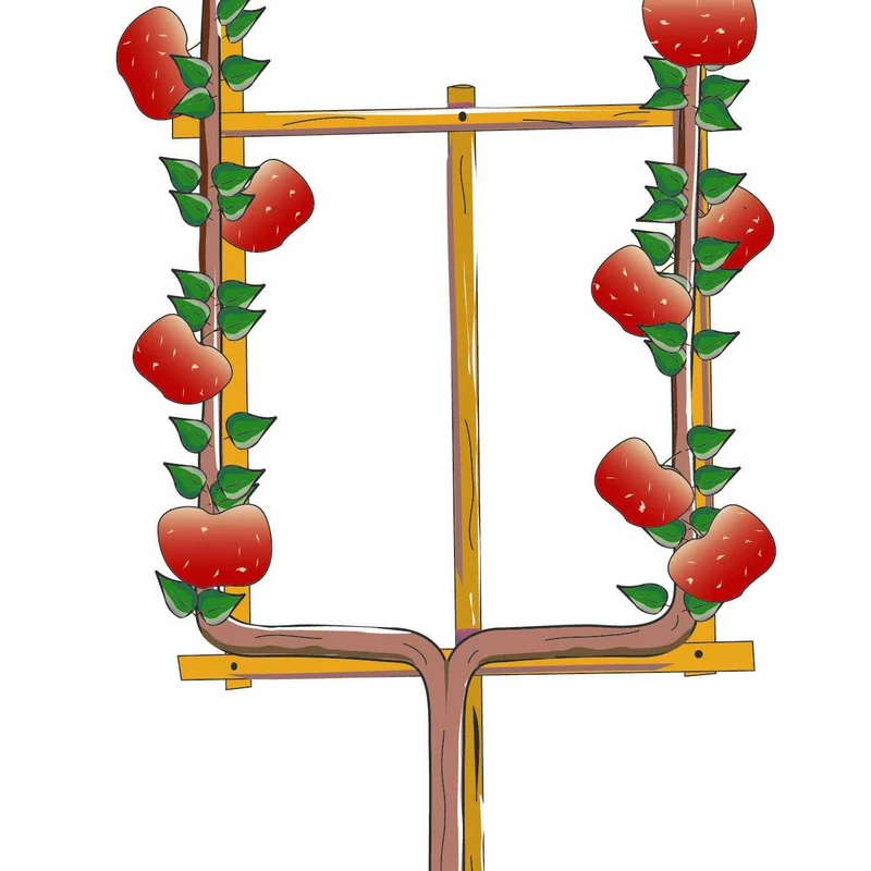 Pommier Rouge de Boskoop