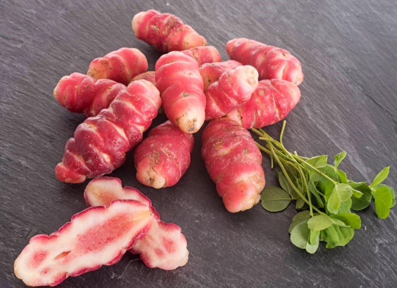Oca du Pérou