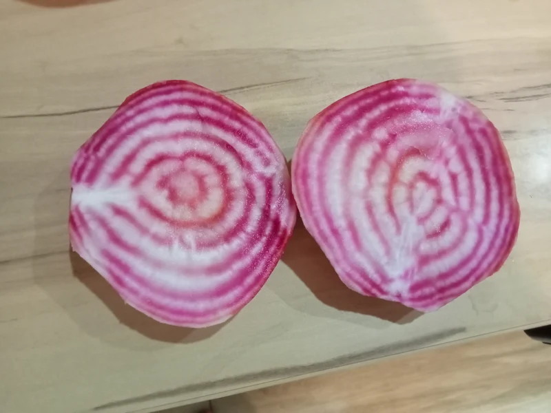 Betterave Chioggia