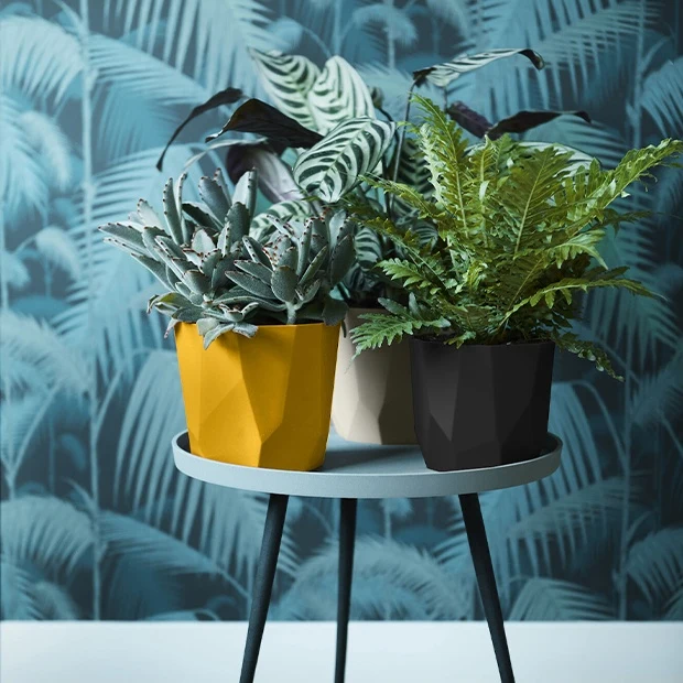 Elho Cache-pot B for rock noir