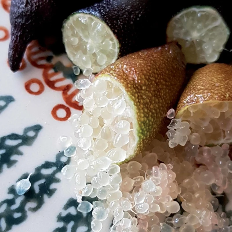 Collection de 3 mini-fruitiers pour terrasses méditerranéennes