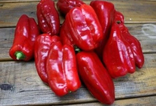 Poivron Doux d'Espagne