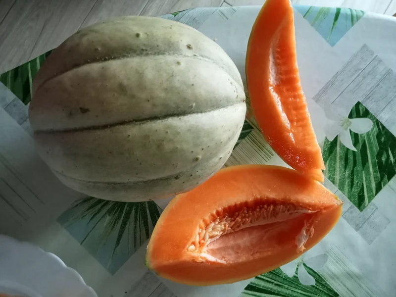 Melon Vieille France