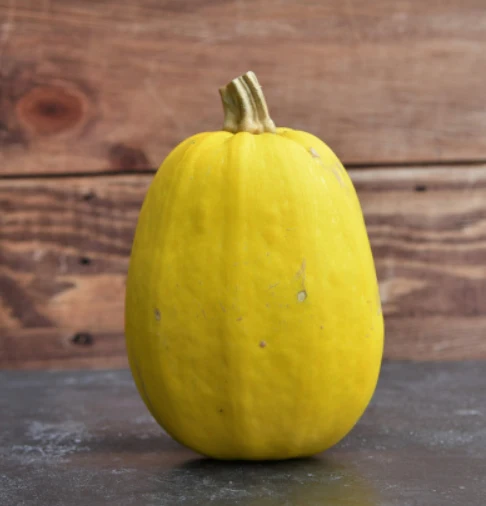 Courge Spaghetti