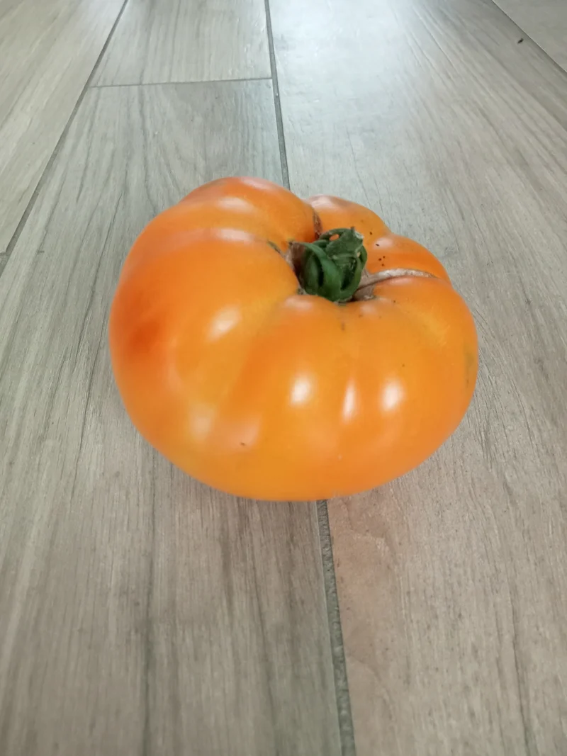 Tomate Pamplemousse