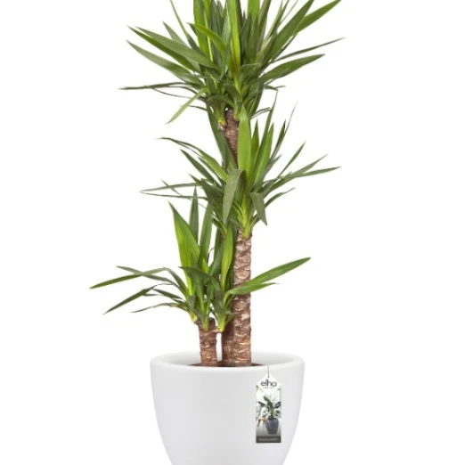 Pot Pure Soft Round blanc ELHO