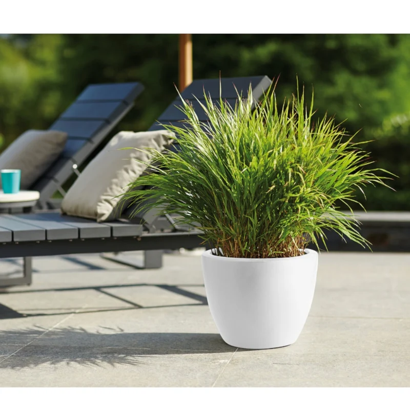 Pot Pure Soft Round blanc ELHO