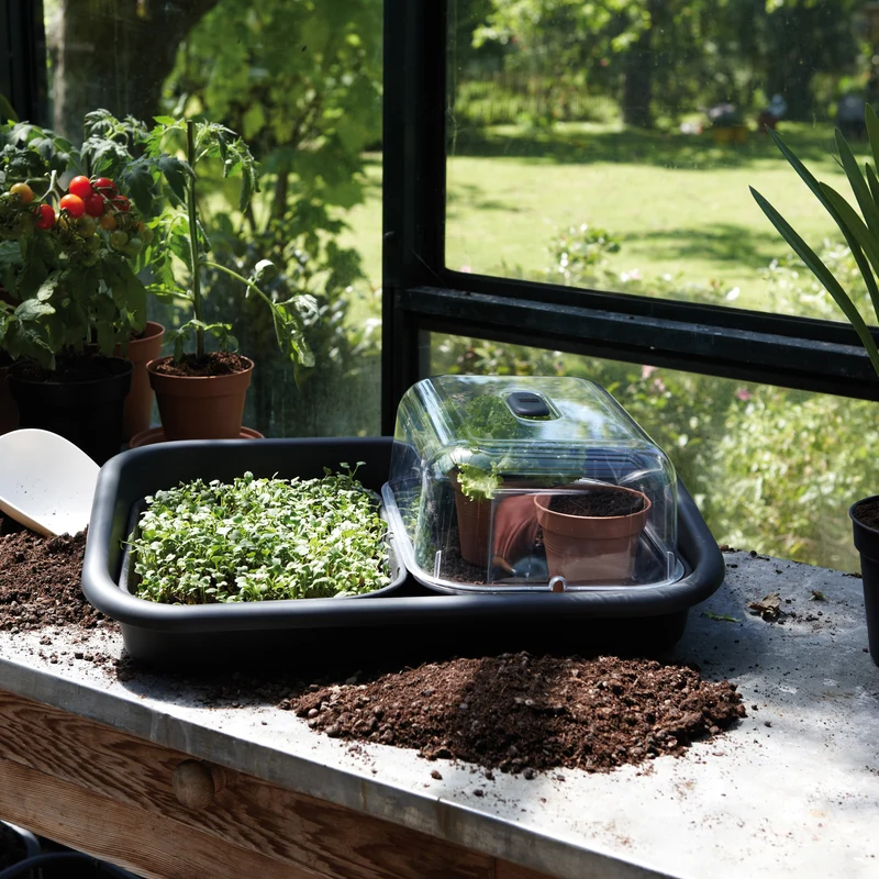 Soucoupe Green Basic Propagation ELHO