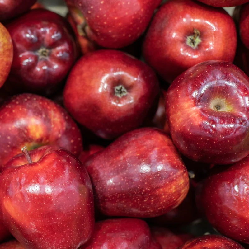 Pommier Red Chief