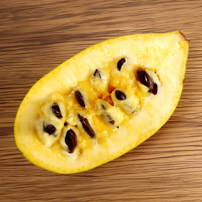 Asiminier Triloba