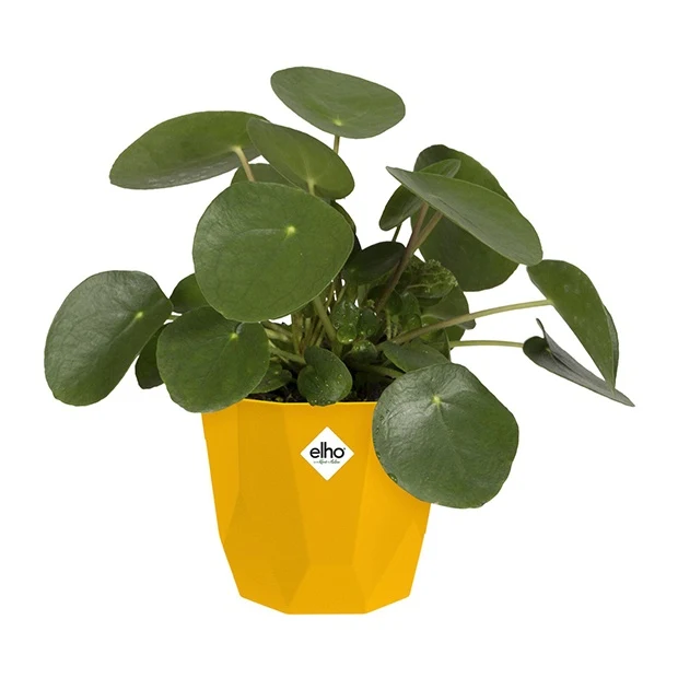 Elho Cache-pot B for rock ocre