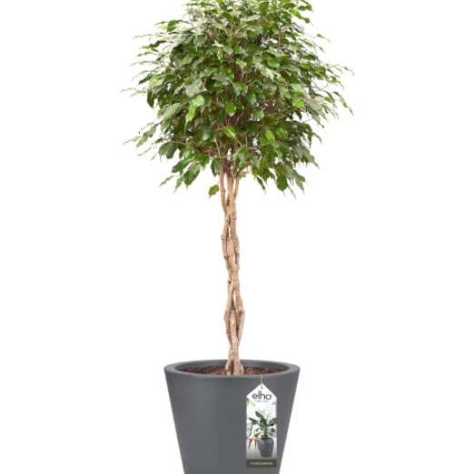 Pot Pure Staight Round anthracite ELHO