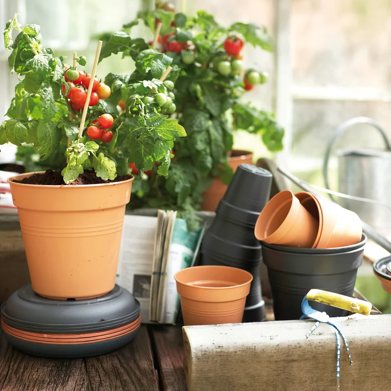 Pot de culture Green Basics Terre cuite