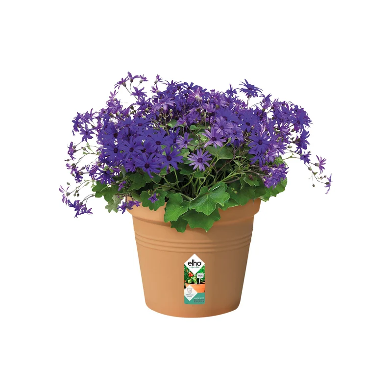 Pot de culture Green Basics Terre cuite