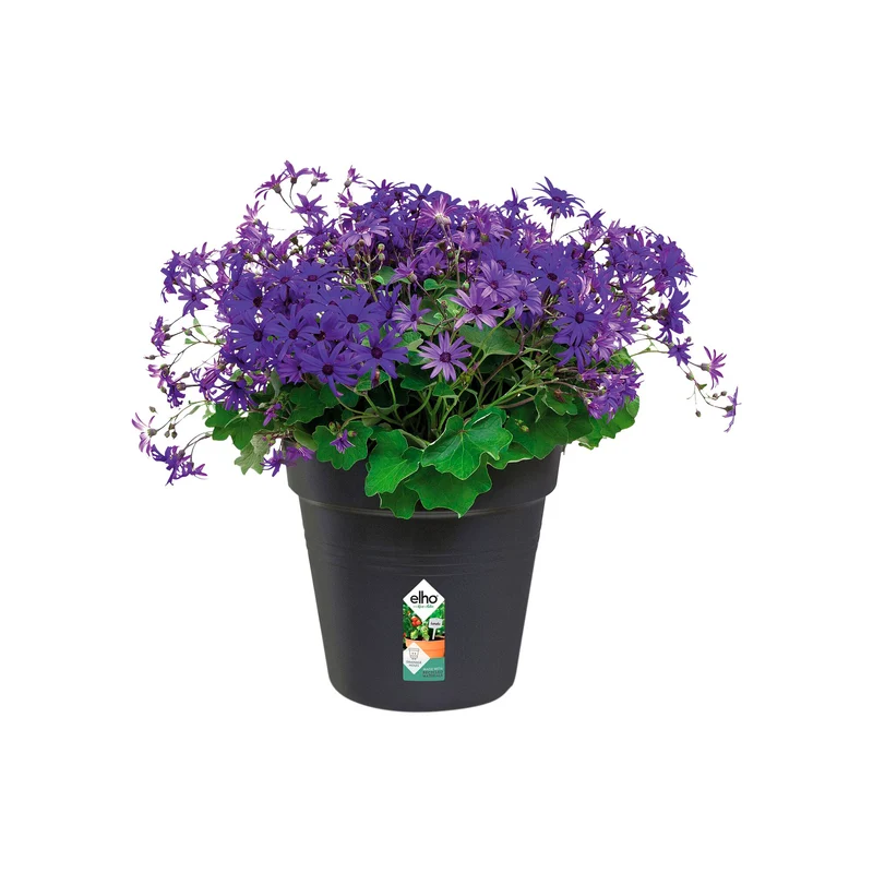 Pot de culture Green Basics Living noir