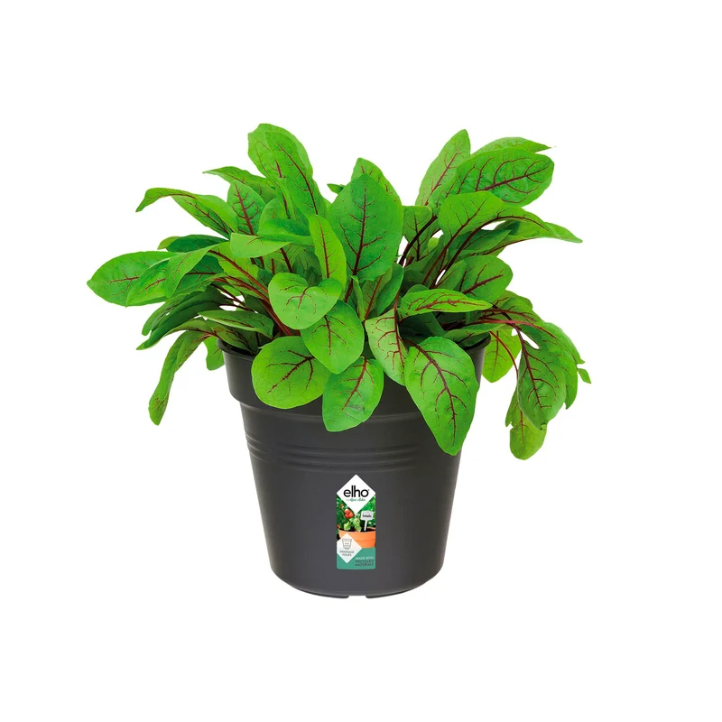 Pot de culture Green Basics Living noir