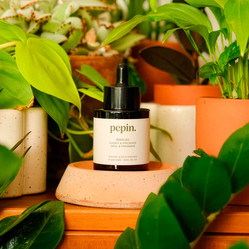 Huile de Neem insecticide naturel
