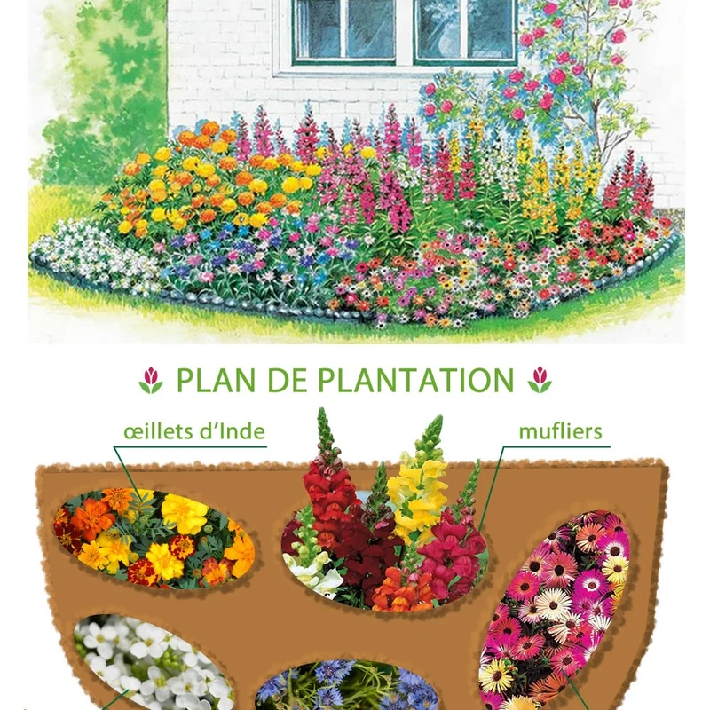 10 Tapis de graines Massif ensoleillé