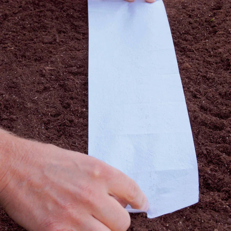10 Tapis de graines Massif ensoleillé