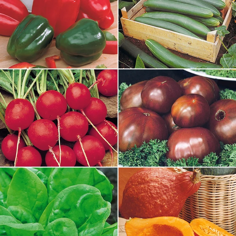 Collection pour potager productif
