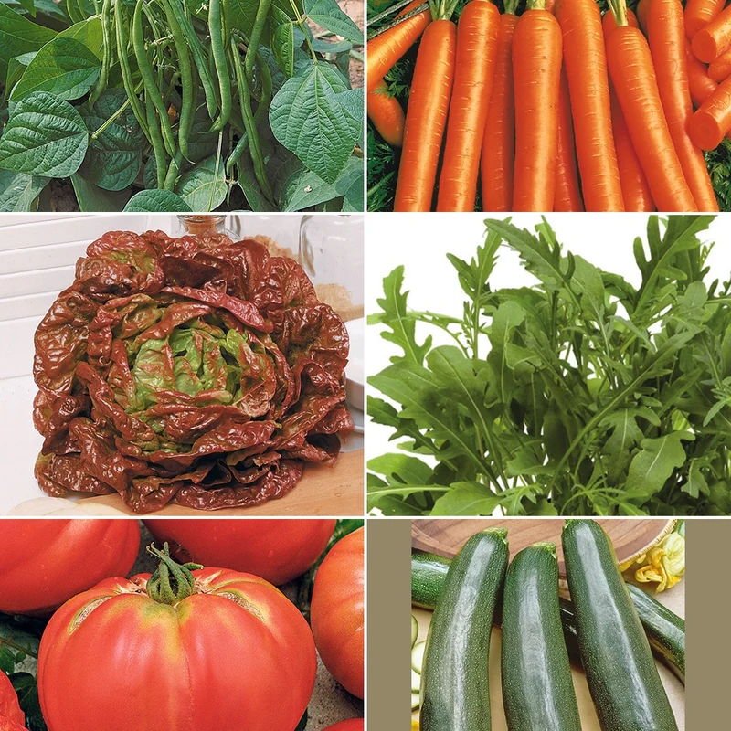 Collection pour potager productif