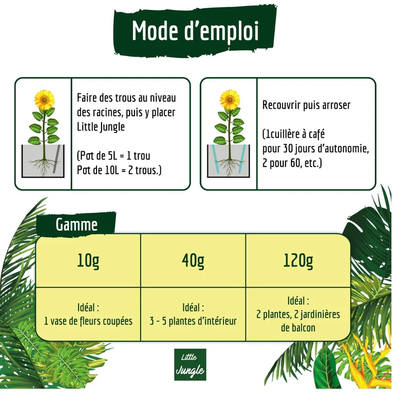 Rétenteur d'eau pour plantes d'intérieur BERGER WORLD