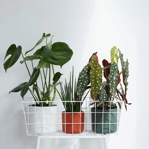 Elho Cache-pot B for soft rond brique