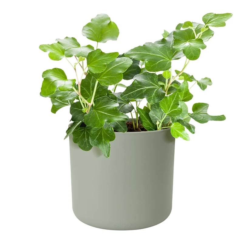 Cache-Pot Soft rond Vert pierre ELHO