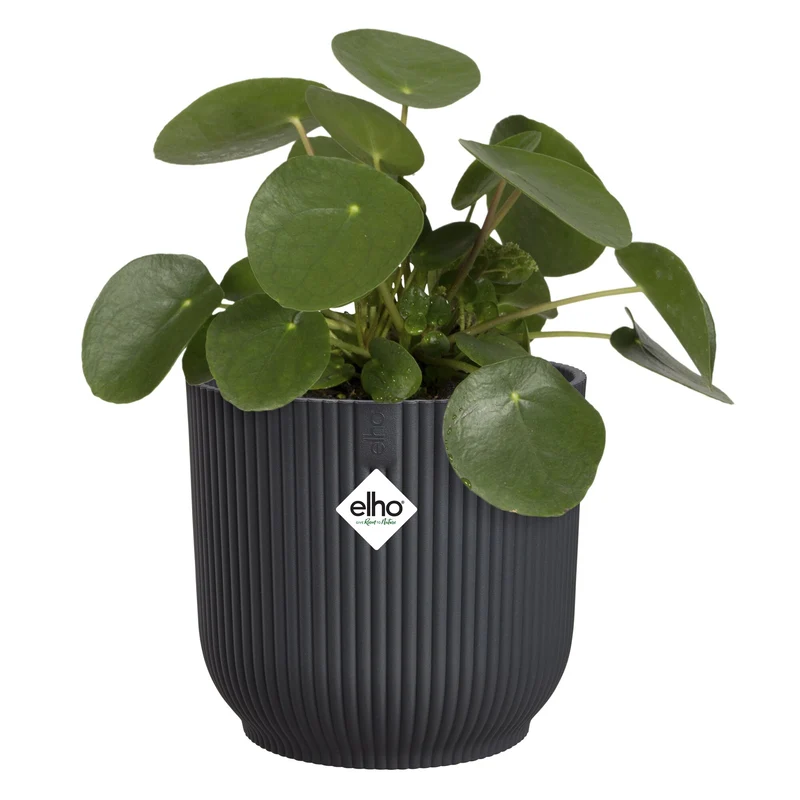 Cache-Pot Vibes fold rond Anthracite ELHO