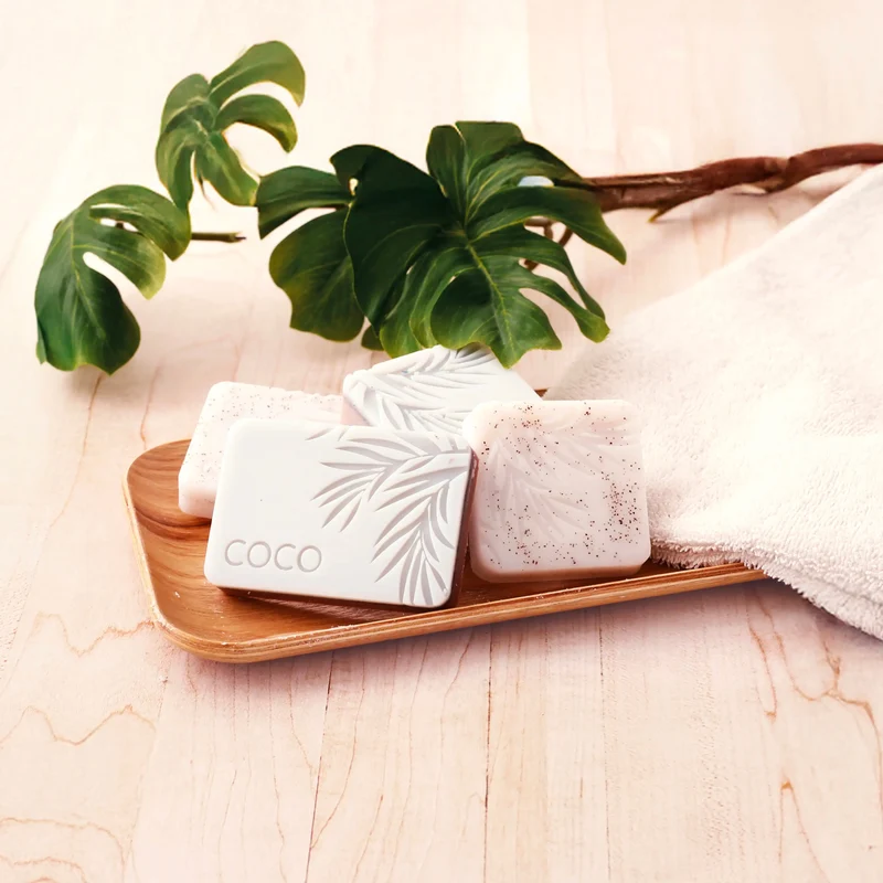Kit Diy Savons Exfoliant Noix De Coco
