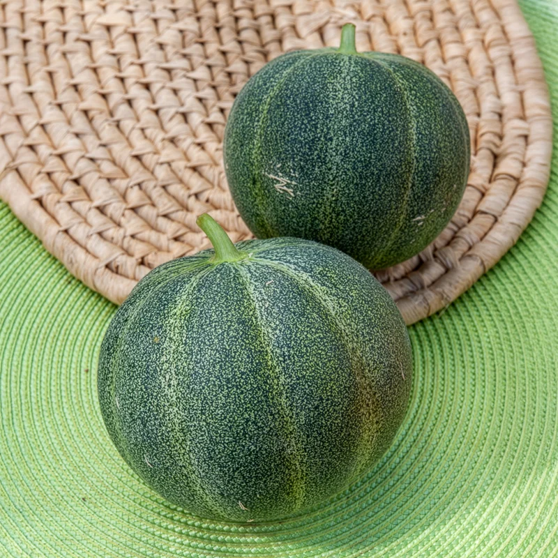 Melon Petit Gris de Rennes