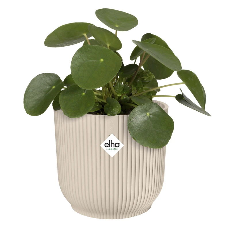Cache-Pot Vibes fold rond Blanc lin ELHO
