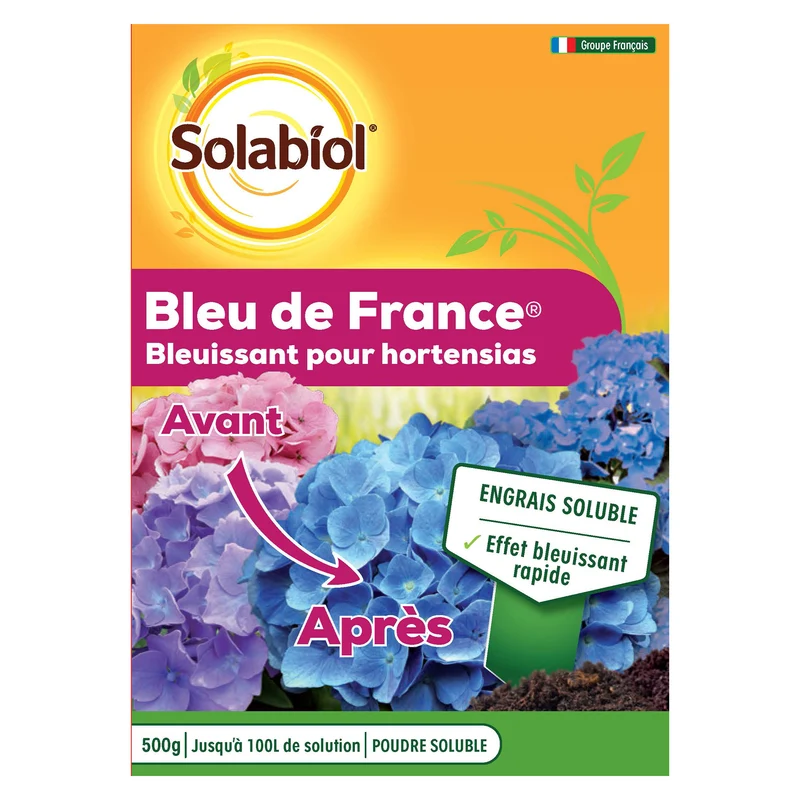 Bleu de France