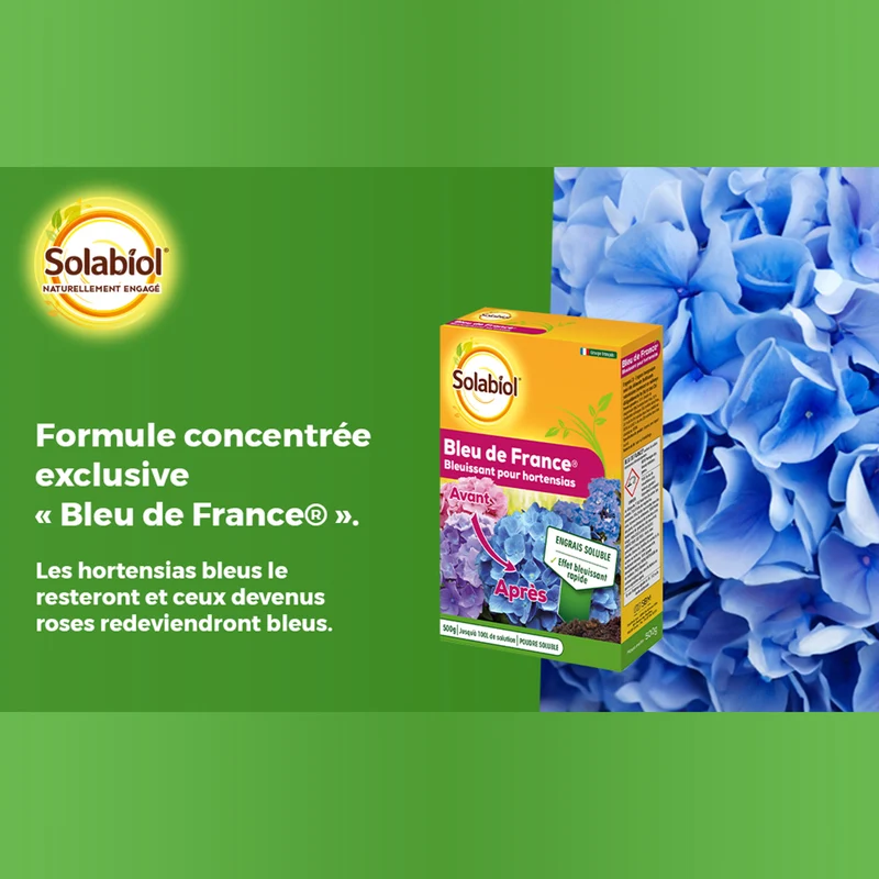 Bleu de France