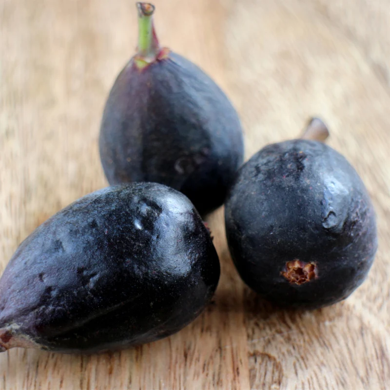 Figuier Noire de Caromb