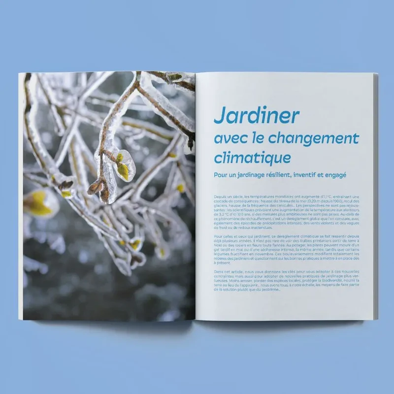 VEIR MAGAZINE - n°20 Chercher