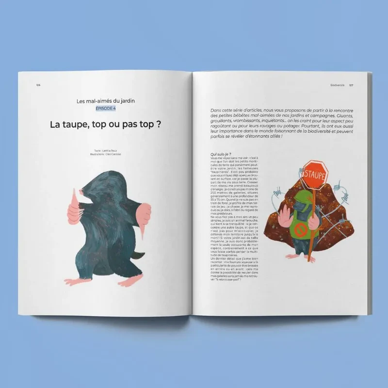 VEIR MAGAZINE - n°20 Chercher