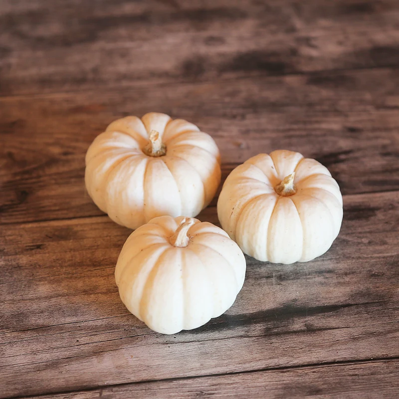 COURGE BABY BOO AB