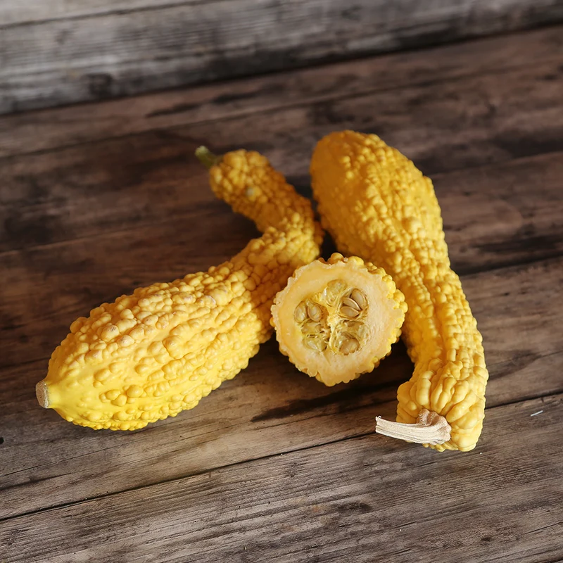 COURGETTE POP-CORN OU RUGOSA FRIULANA AB