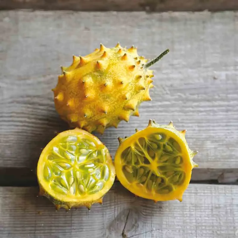 CONCOMBRE CORNU D'AFRIQUE 'KIWANO' AB