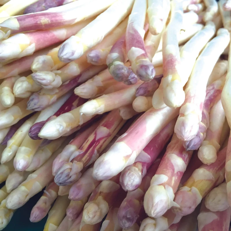 ASPERGE ARGENTEUIL - 10 GRIFFES - 2 ans