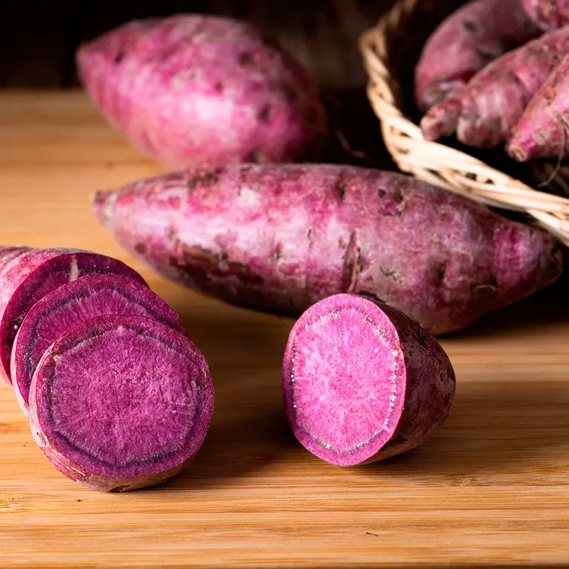 PATATE DOUCE SAKURA - AB - PLANT