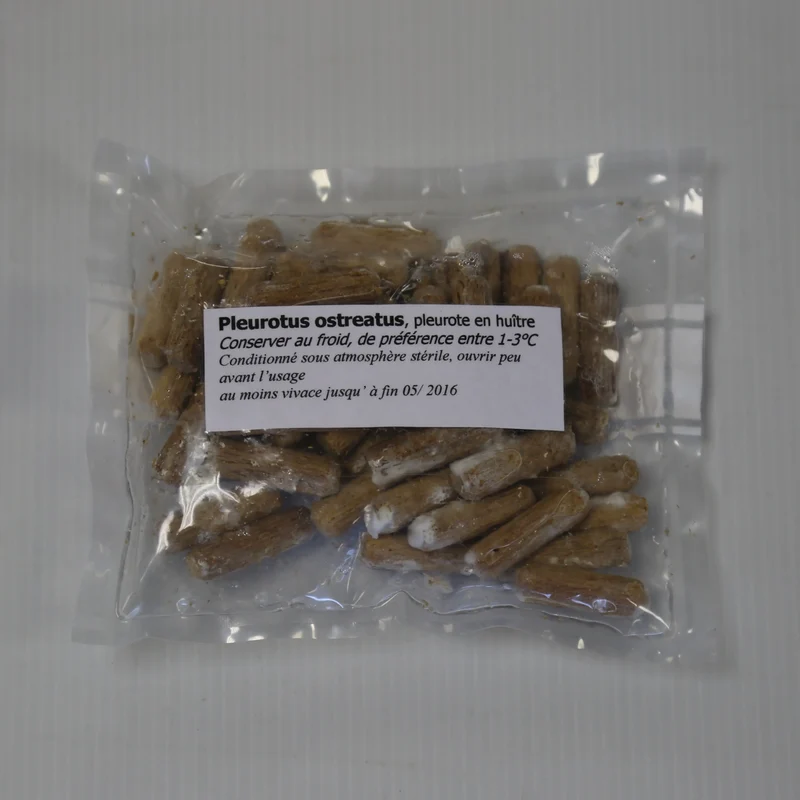 50 CHEVILLES - PLEUROTE D´ETE AB