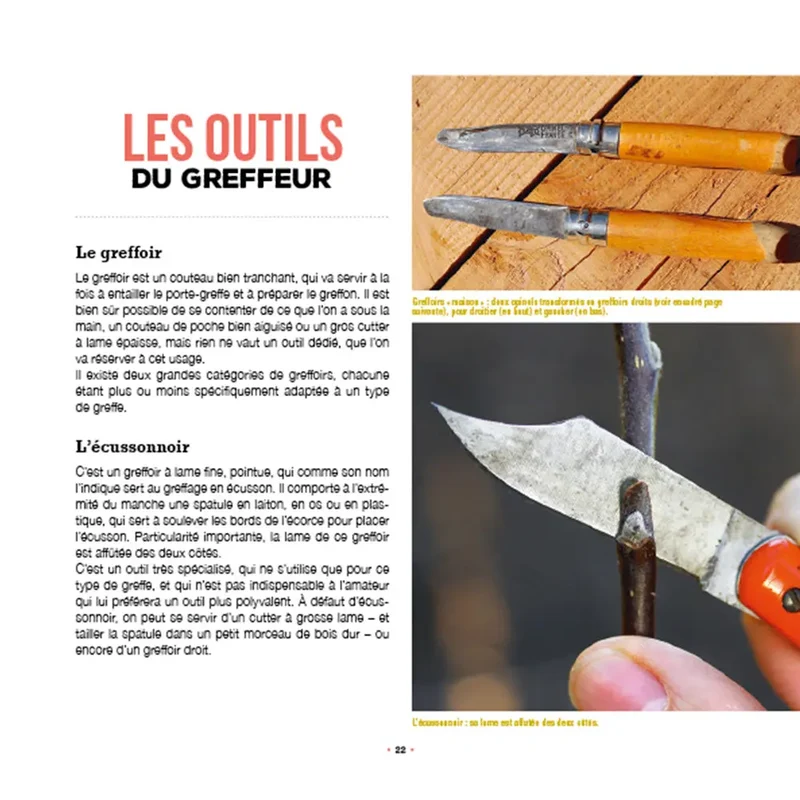J´APPRENDS A GREFFER MES ARBRES FRUITIERS