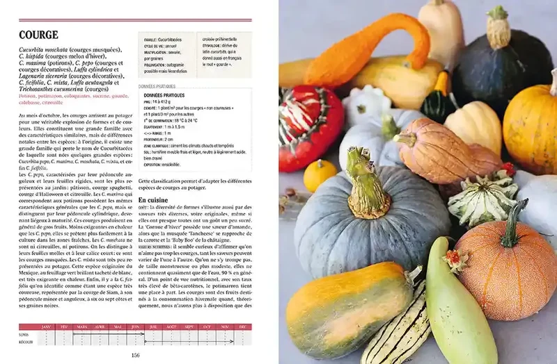 TOUS LES LEGUMES, POUR UNE AUTONOMIE ALIMENTAIRE RETROUVEE