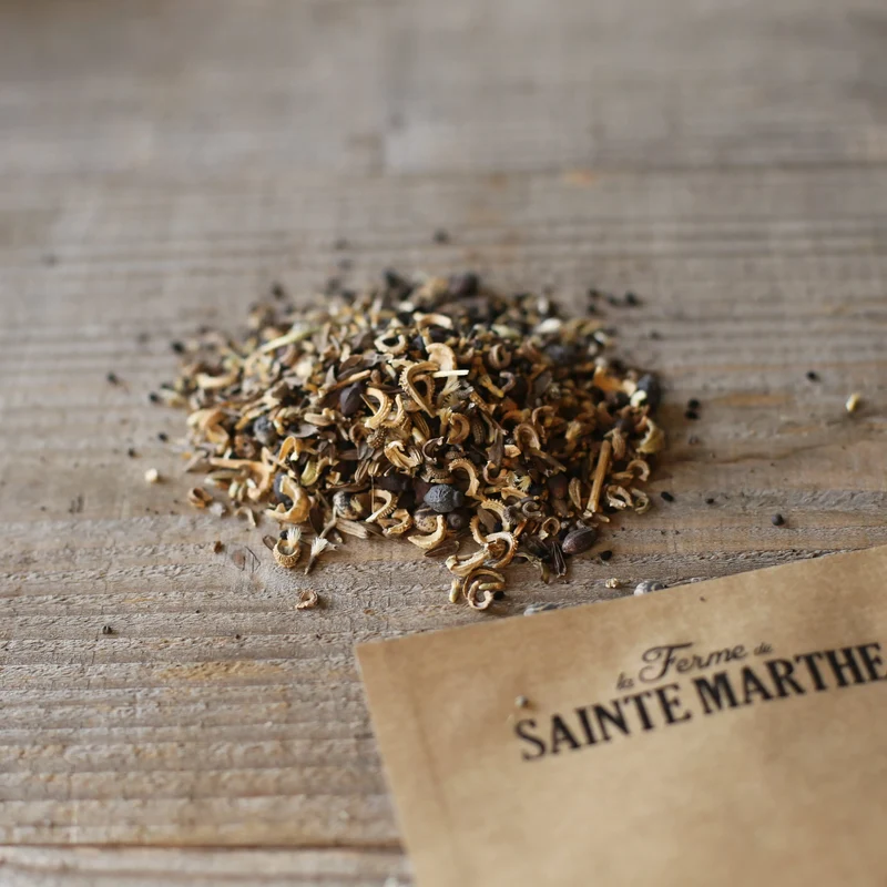 MÉLANGE FLEURI - VARIÉTÉS ANCIENNES NT