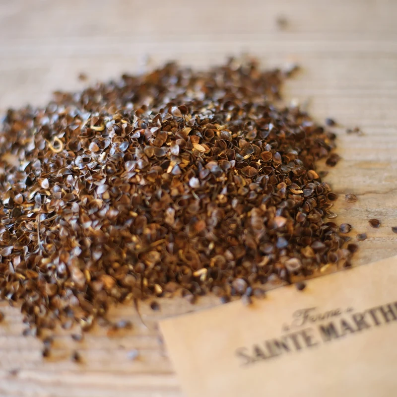 MÉLANGE FLEURI - NOURRIR LES ABEILLES AB